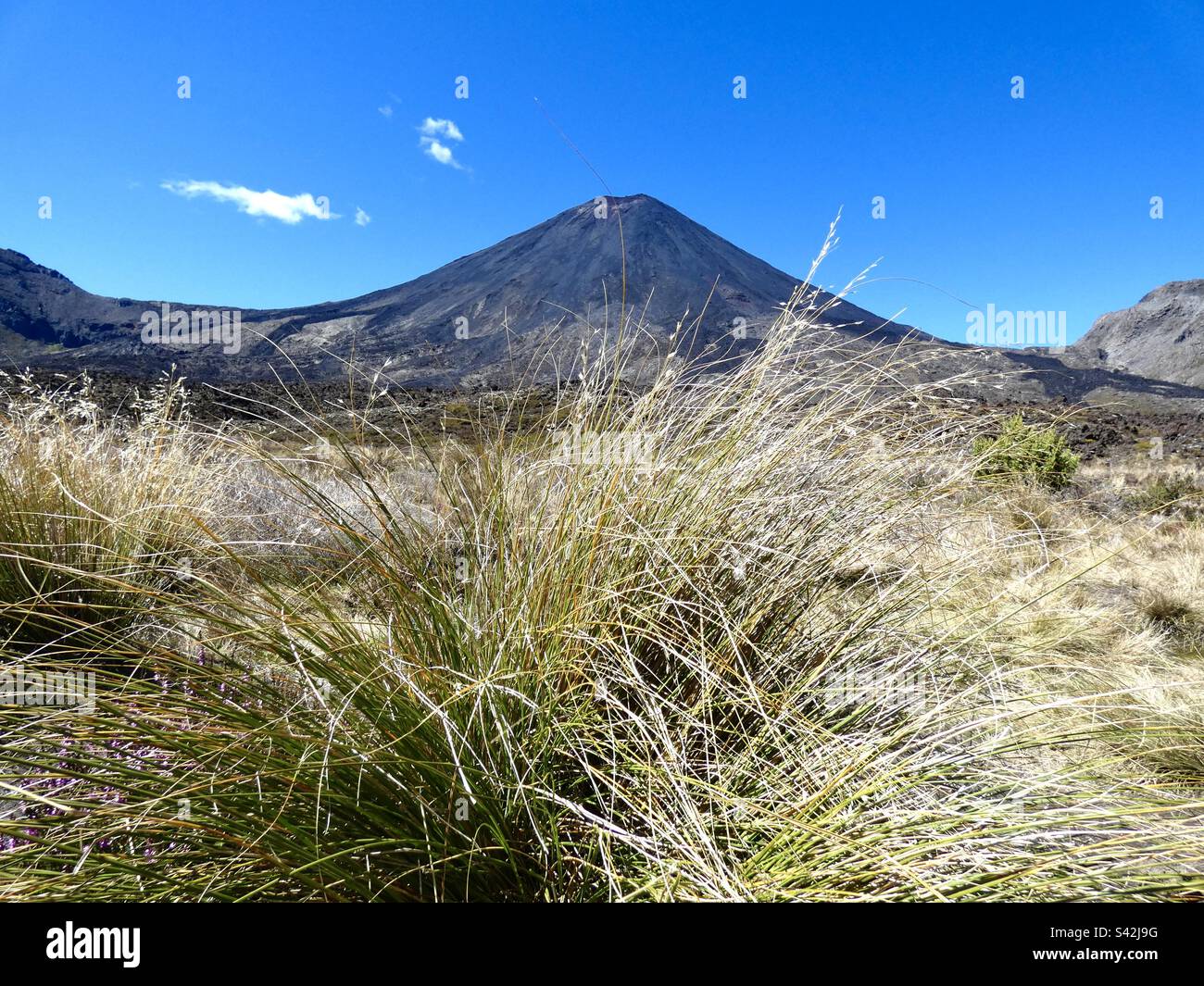 Tongariro National Park, Neuseeland Stockfoto