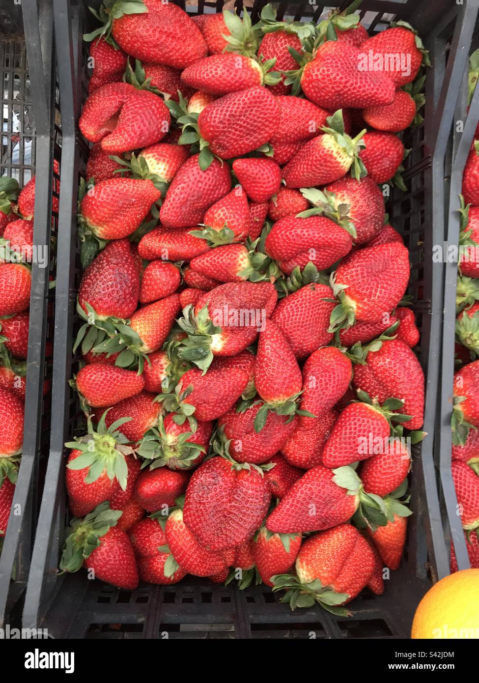 Erdbeeren Stockfoto