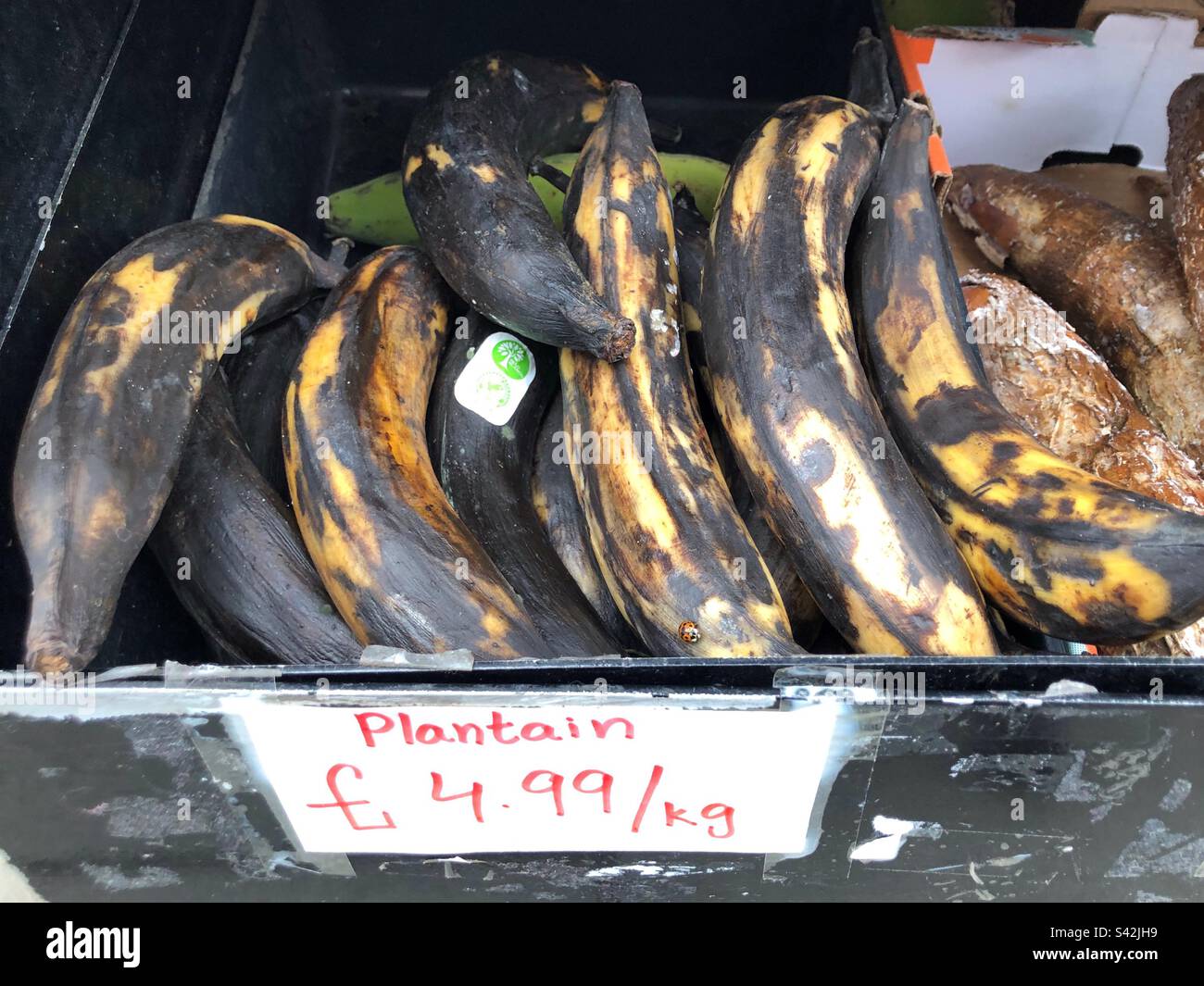 Die Mehlbananen wurden im Supermarkt verkauft - Smartphone-aufgenommenes Stockfoto