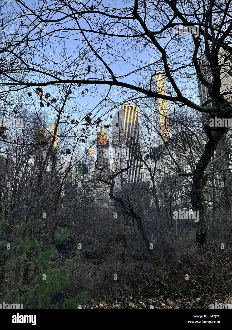 Blick auf New Yorker Gebäude vom Central Park. Foto wurde im Dezember 2022 in New York aufgenommen Stockfoto