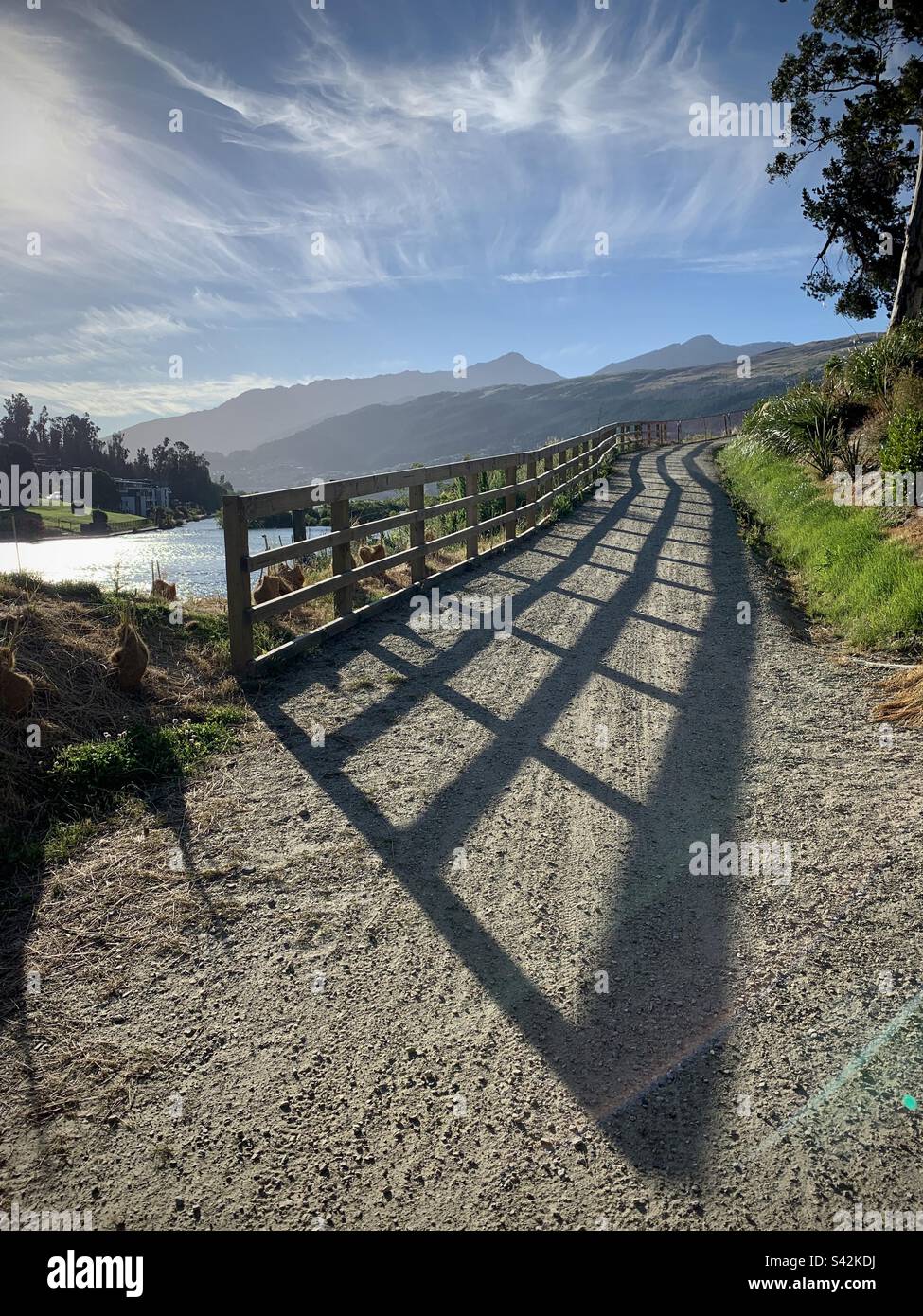 Lange Abendschatten auf dem beliebten Radweg Queenstown in Frankton am Lake Wakatipu auf der Südinsel Neuseeland - Smartphone-aufgenommenes Stockfoto