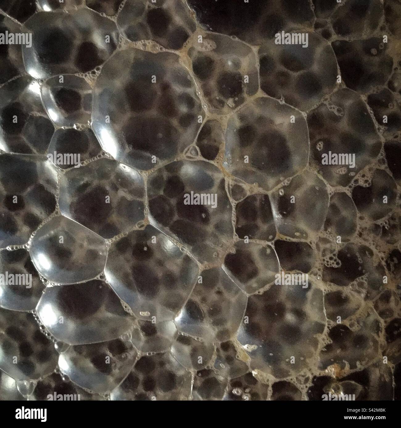 Blasen auf fermentierendem Wein, Katalonien, Spanien. - Smartphone-aufgenommenes Stockfoto