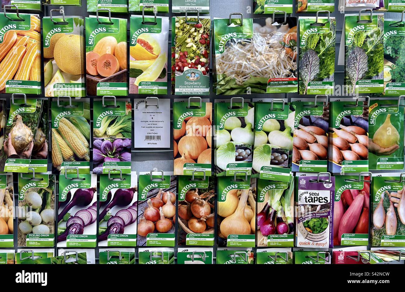 Viele farbenfrohe Sitzpakete sind in einem Gartencenter erhältlich und bieten das Versprechen von wunderschönem, hausgemachtem Gemüse Stockfoto