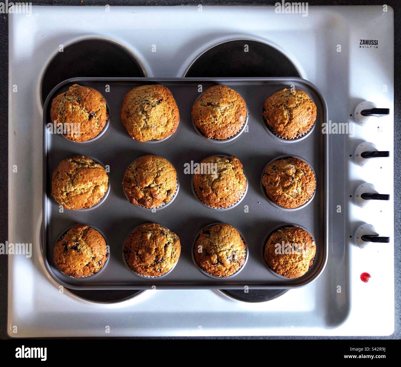Frisch gebackene hausgemachte Choc-Chip-Muffins kühlen auf dem Kochfeld ab - Smartphone-aufgenommenes Stockfoto