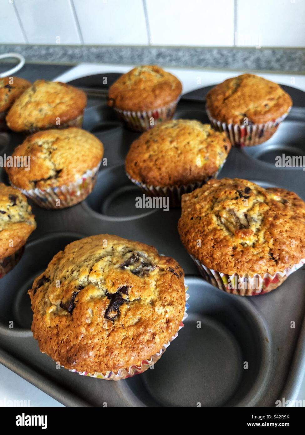 Frisch gebackene hausgemachte Choc-Chip-Muffins kühlen auf dem Kochfeld ab - Smartphone-aufgenommenes Stockfoto