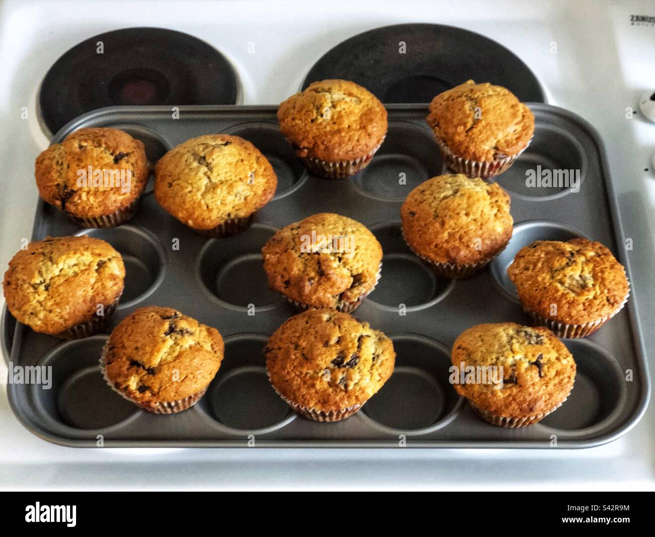 Frisch gebackene hausgemachte Choc-Chip-Muffins kühlen auf dem Kochfeld ab - Smartphone-aufgenommenes Stockfoto