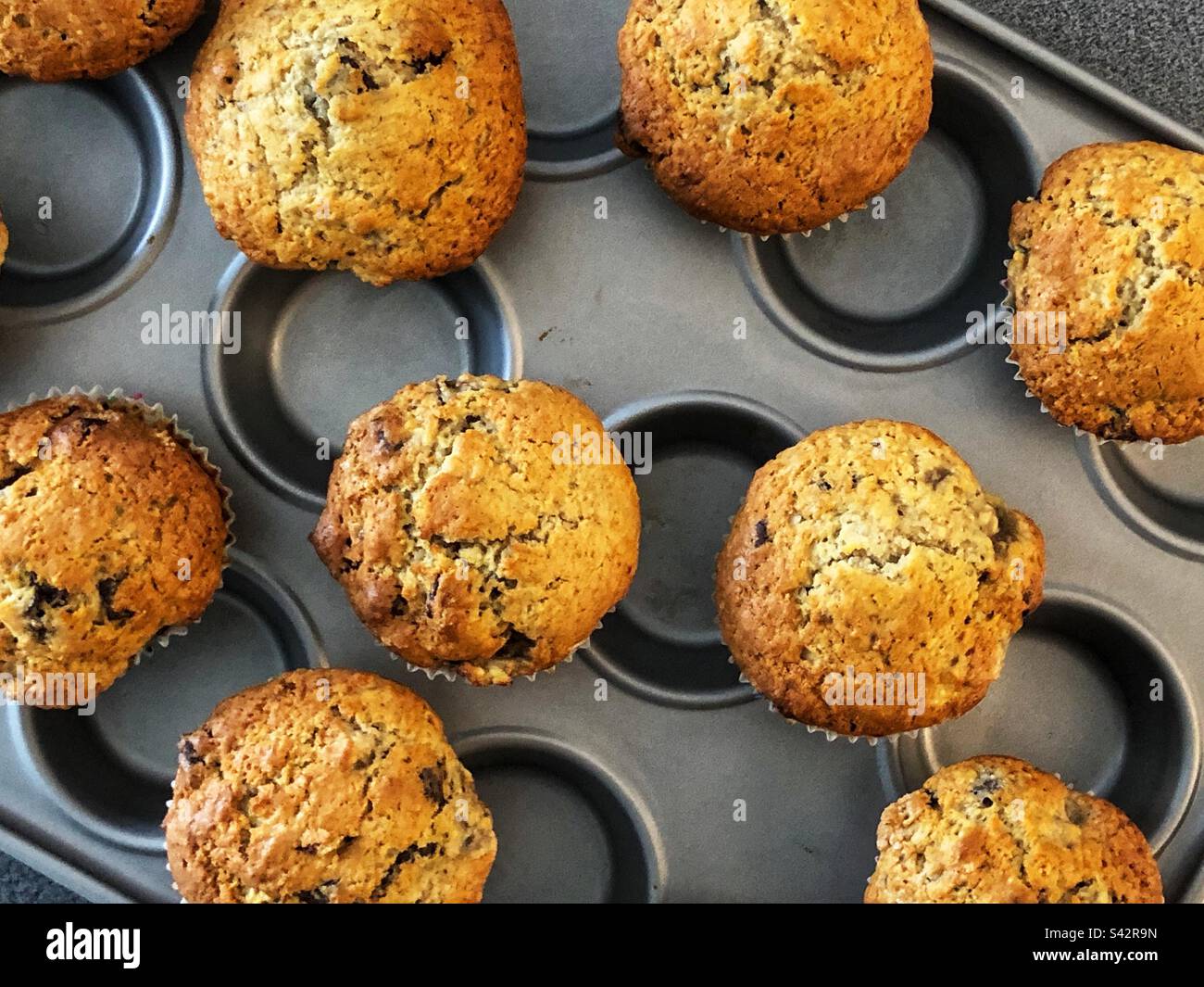 Frisch gebackene hausgemachte Choc-Chip-Muffins kühlen auf dem Kochfeld ab - Smartphone-aufgenommenes Stockfoto