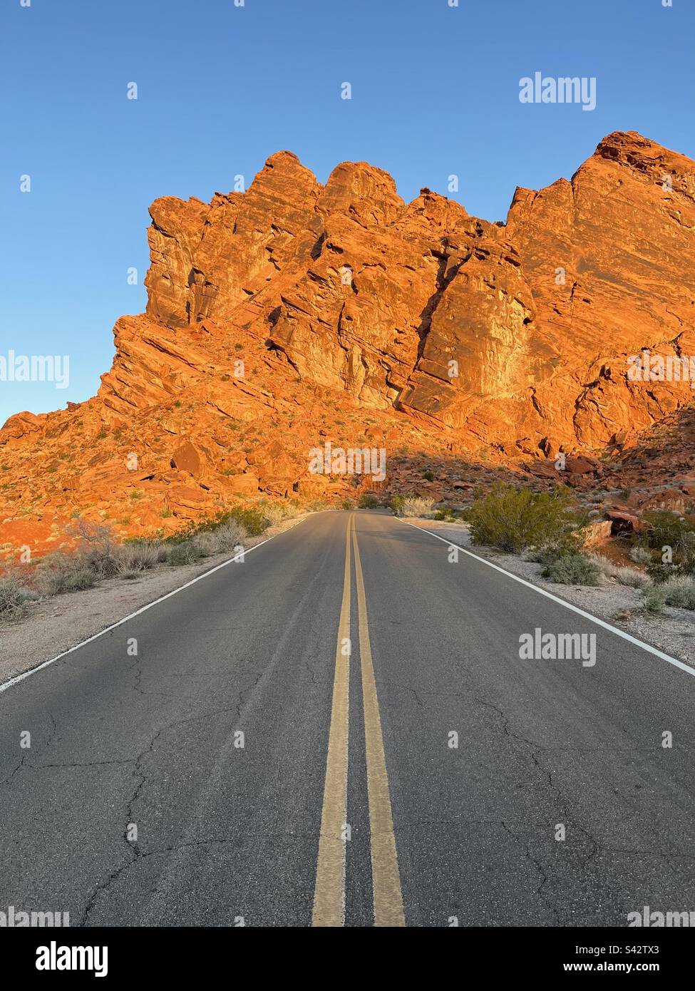 Amateur-Handyfotos - Smartphone-aufgenommenes Stockfoto