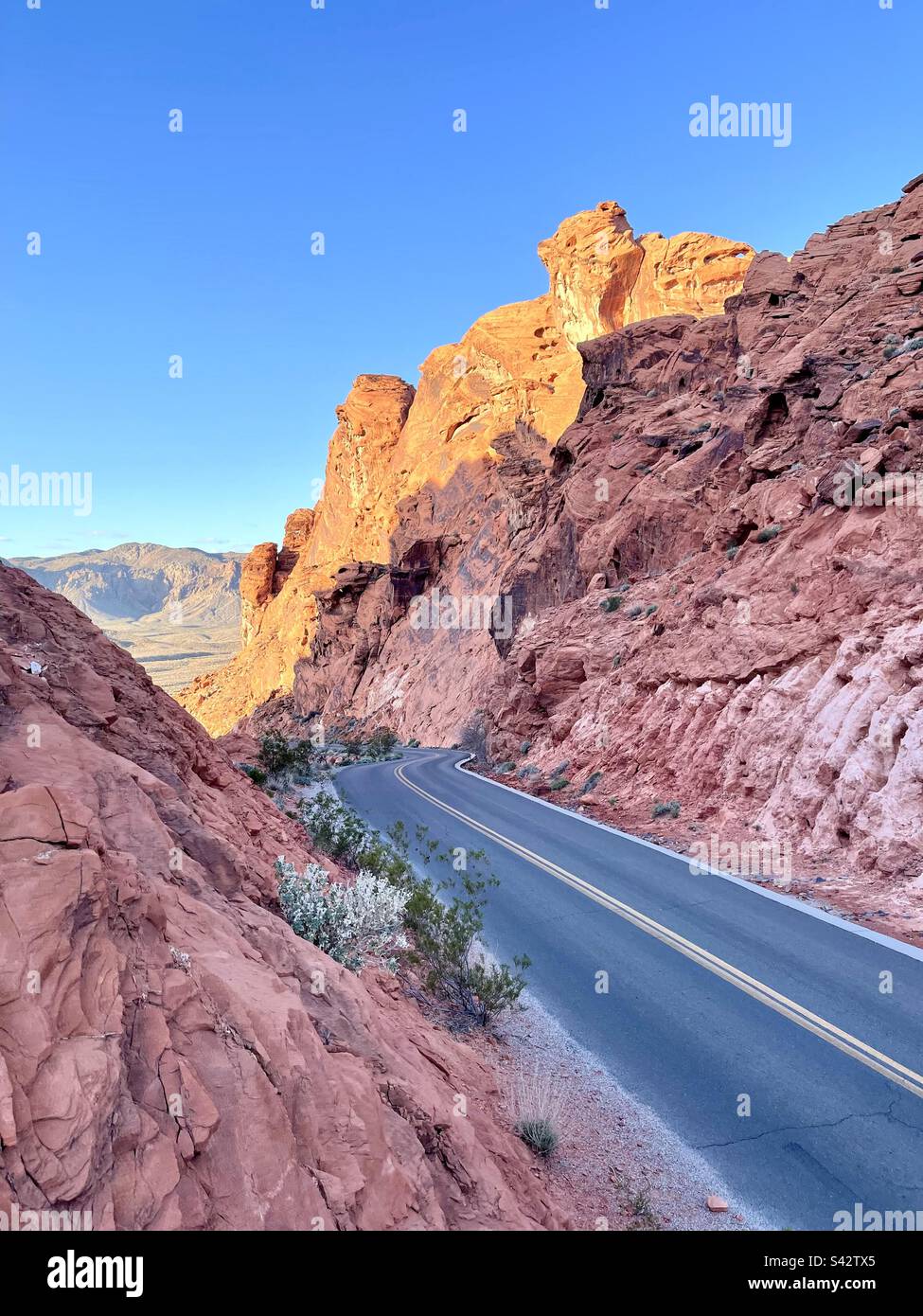 Amateur-Handyfotos - Smartphone-aufgenommenes Stockfoto