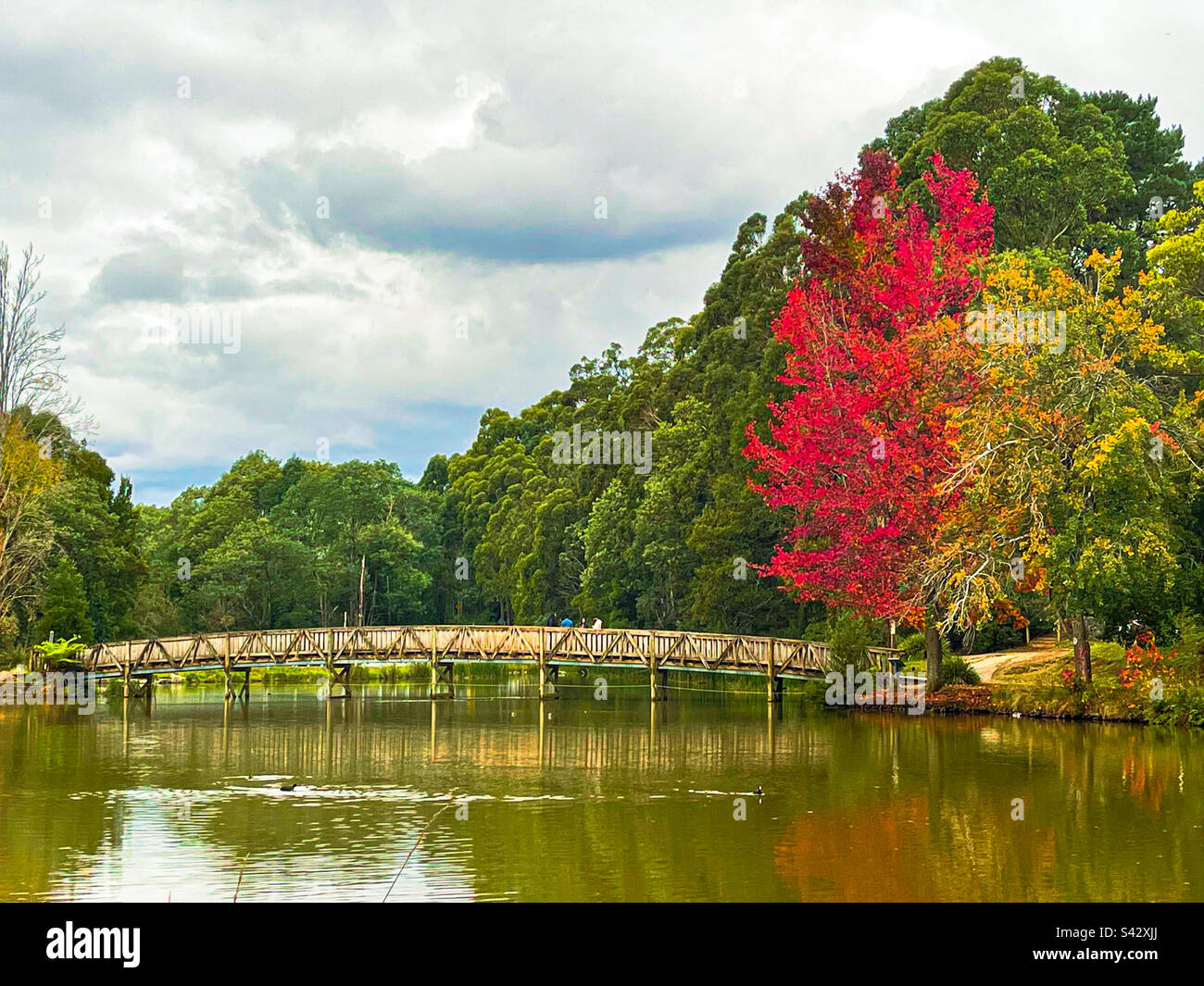 Der berühmte Emerald Reserve Park mit Holzbrücke im Herbst. Stockfoto