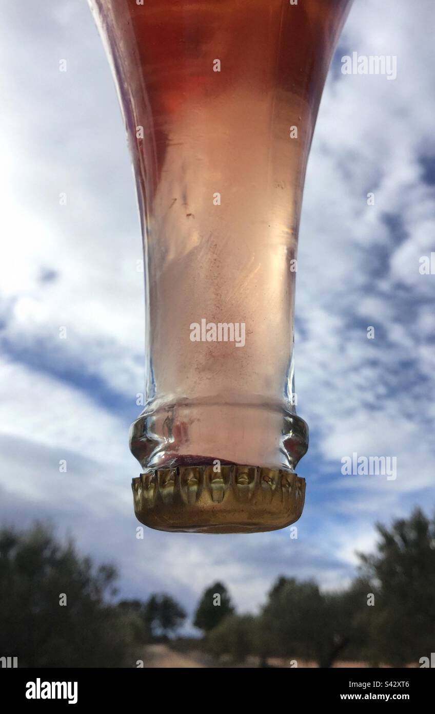 Schaumwein mit gefrorenem Flaschenhals, Katalonien, Spanien. Stockfoto