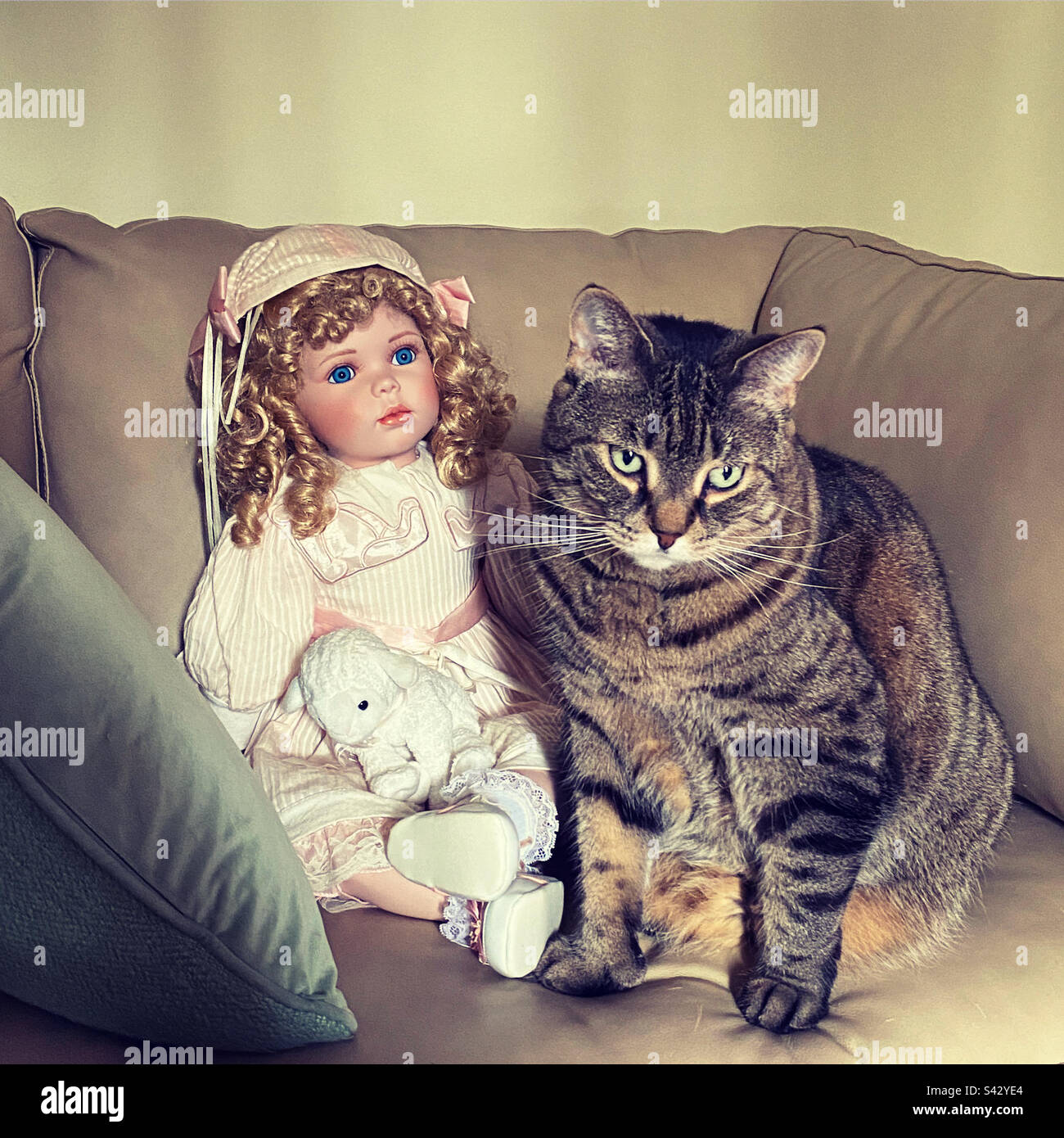 Eine Katze und ihre Puppe Stockfoto