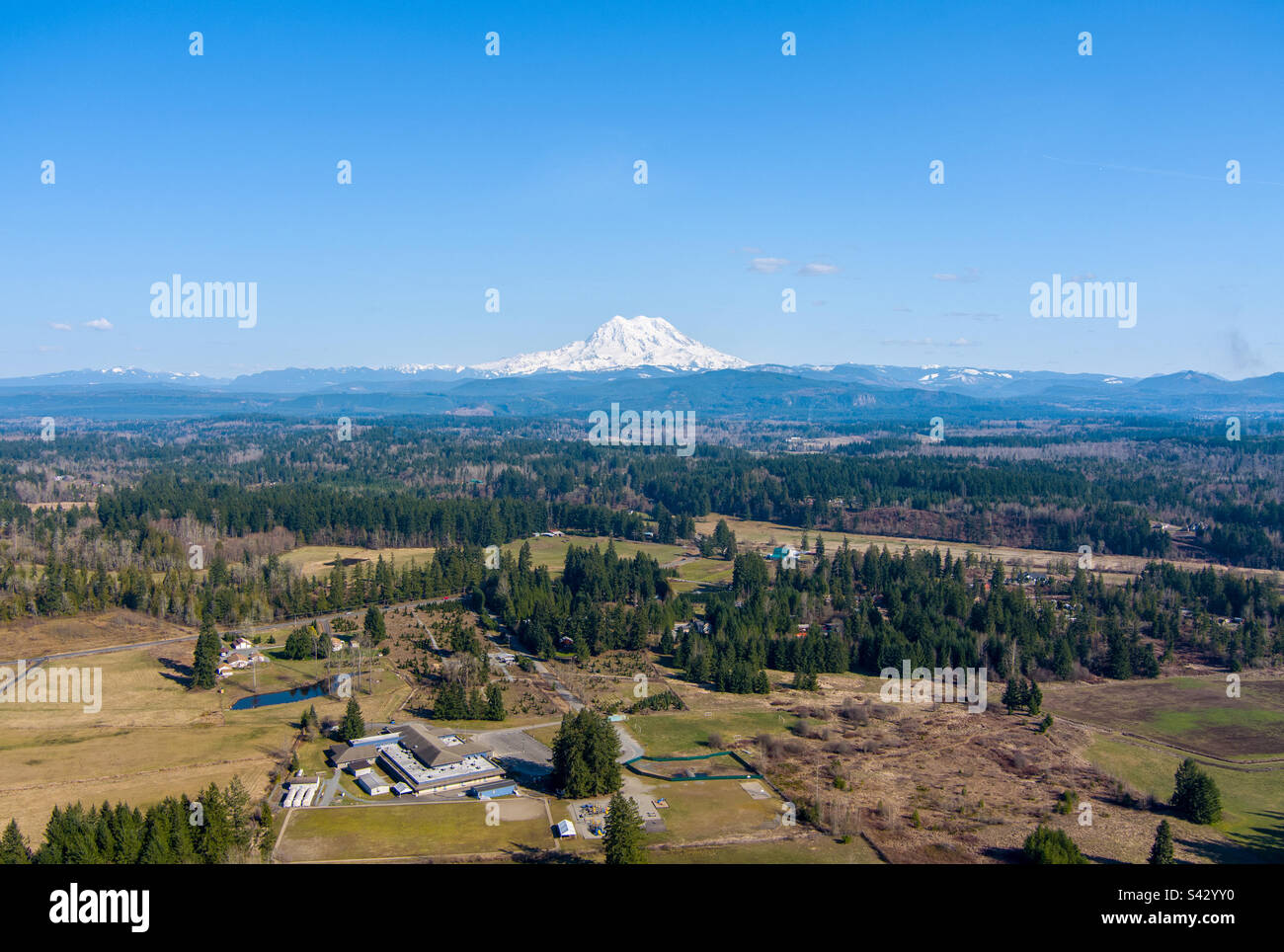 Mount Rainier am Horizont in Eatonville, Washington Stockfoto