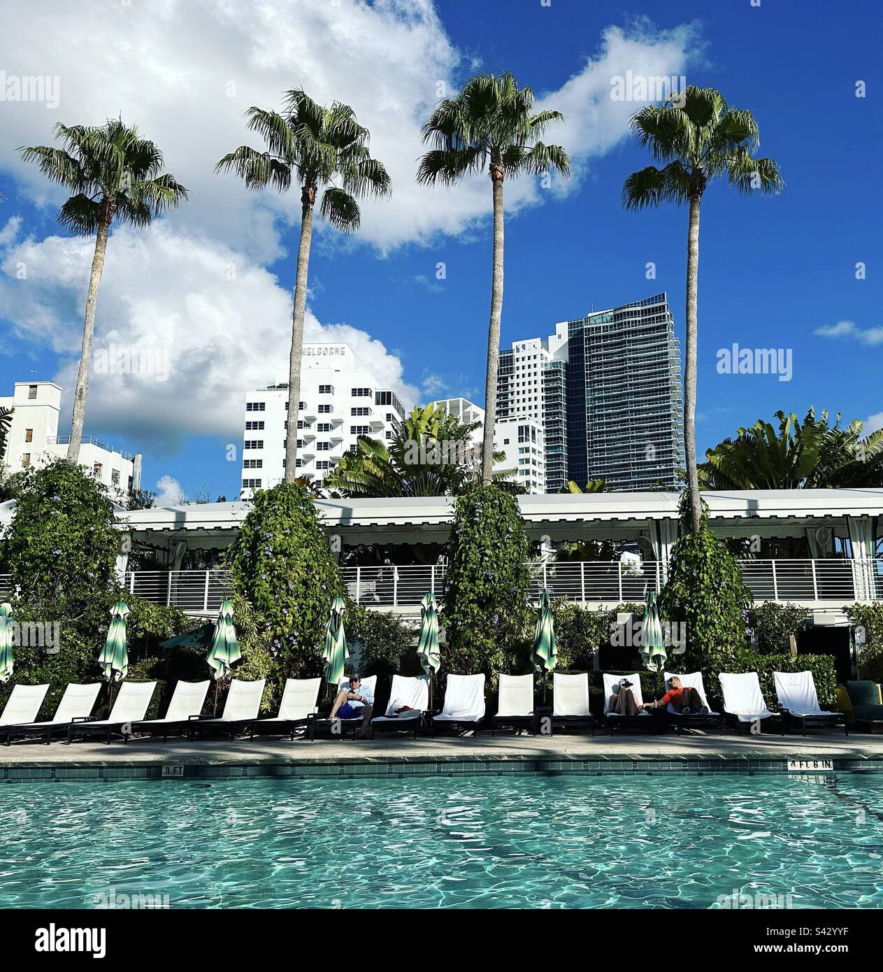 Swimmingpool, Kimpton Surfcomber Hotel, South Beach, Miami Beach, Florida, Vereinigte Staaten Stockfoto