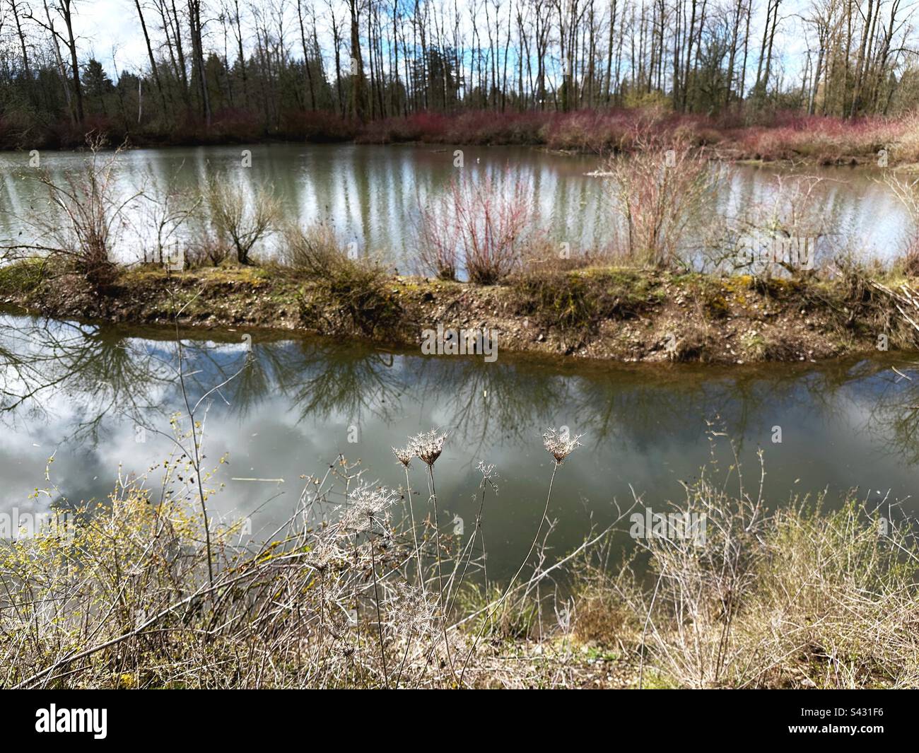 Delta Ponds in Eugene, Oregon. Stockfoto