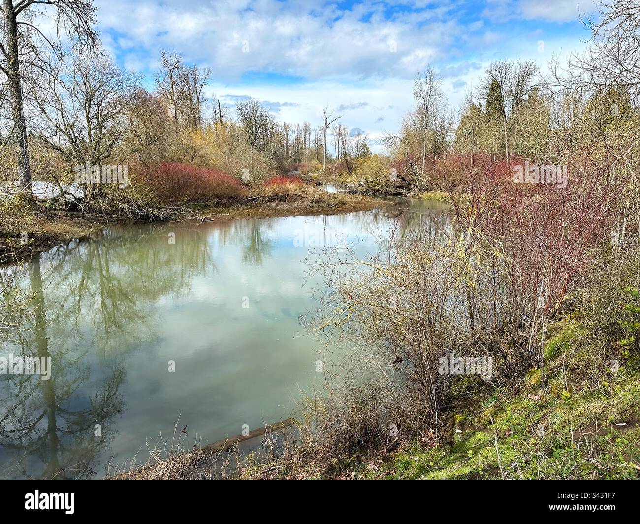 Delta Ponds in Eugene, Oregon. Stockfoto