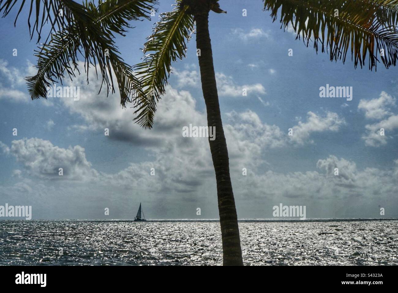 Besonderer Blick auf die Küste San Pedro Ambergris Caye Belize - Smartphone-aufgenommenes Stockfoto