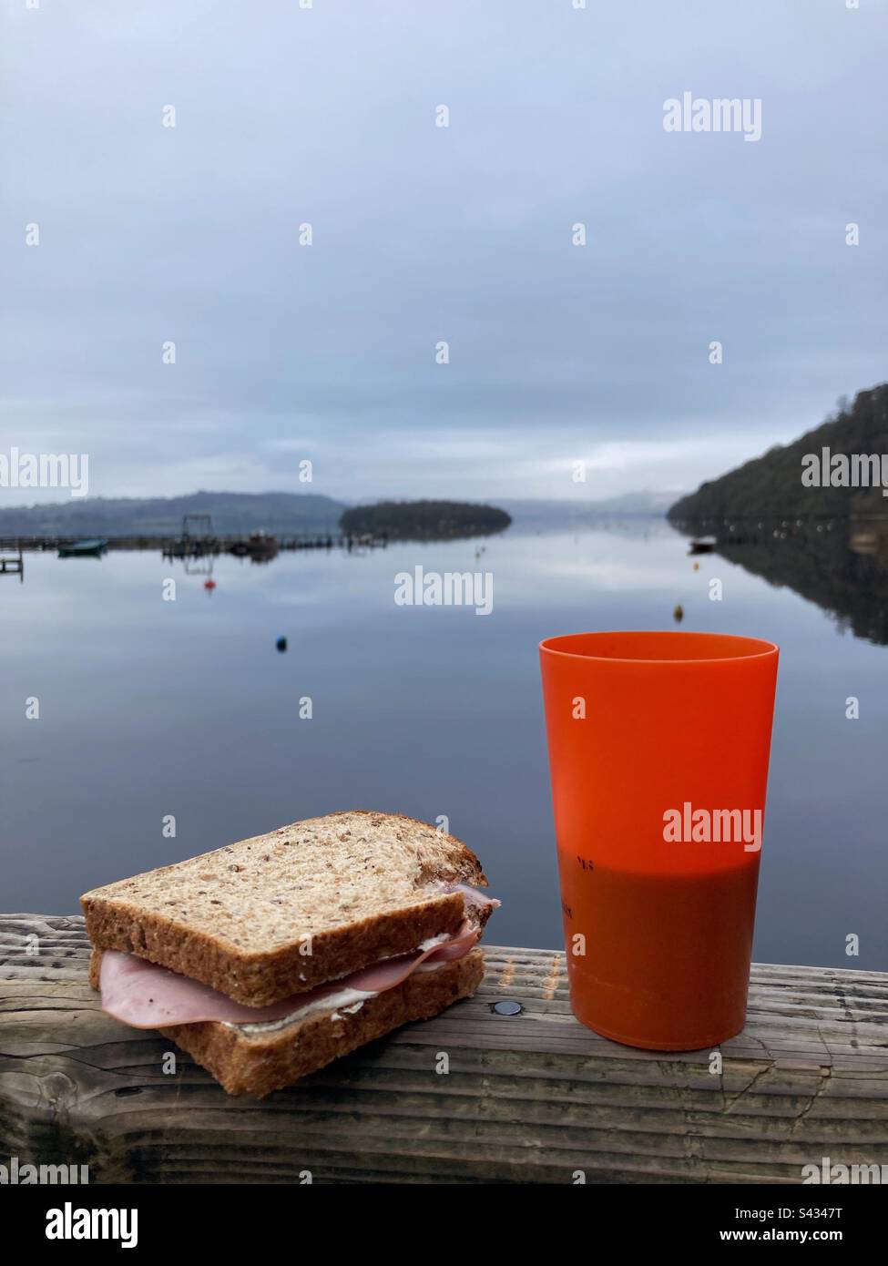 Frühstückssandwich im Loch Lomond im Frühling Stockfoto