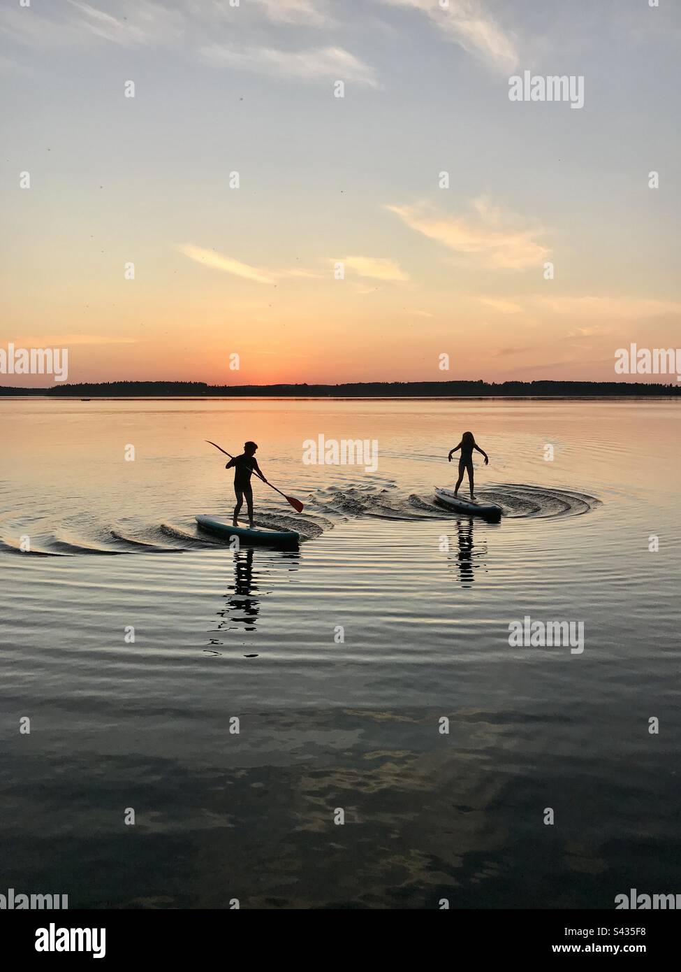 Ein Bruder und eine Schwester, die zusammen auf SUPs spielen, stehen auf und paddeln in der Mitternachtssonne eines skandinavischen Sees im Sommer während eines Familienurlaubs Stockfoto