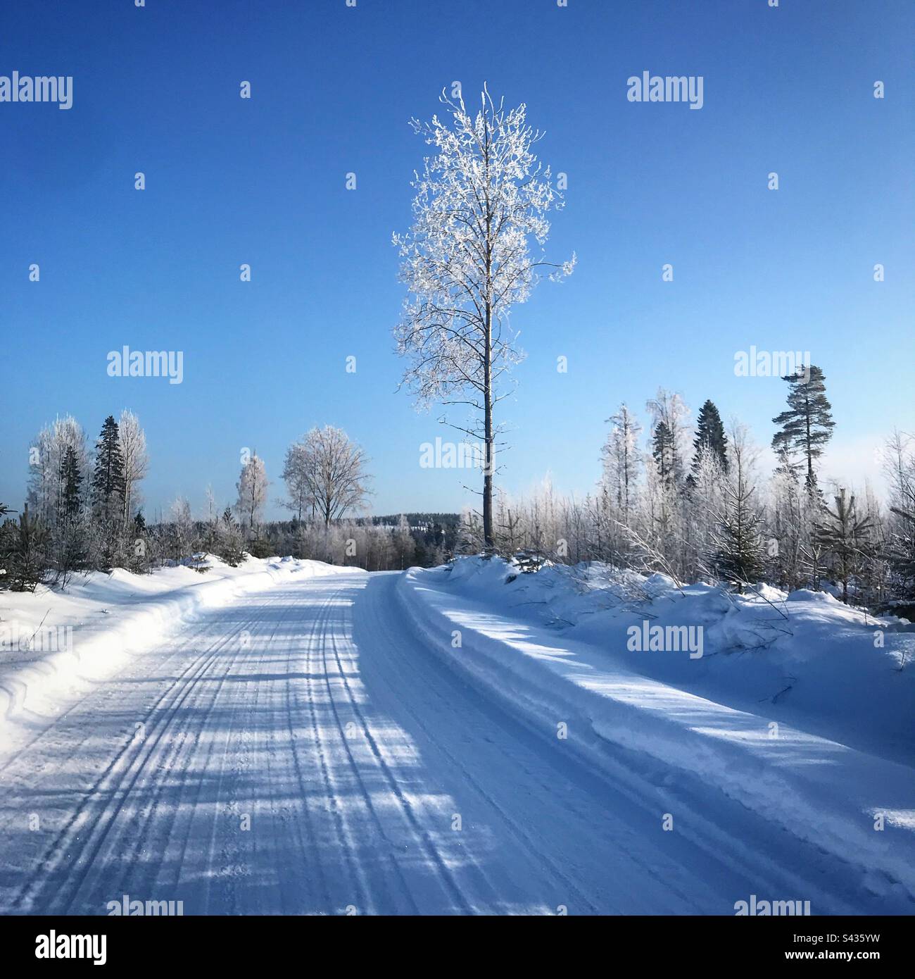 Wunderschöne gefrorene Bäume auf einer abgelegenen Landstraße im tiefen Winter im subarktischen Kreis von Kajaani in Finnland Stockfoto