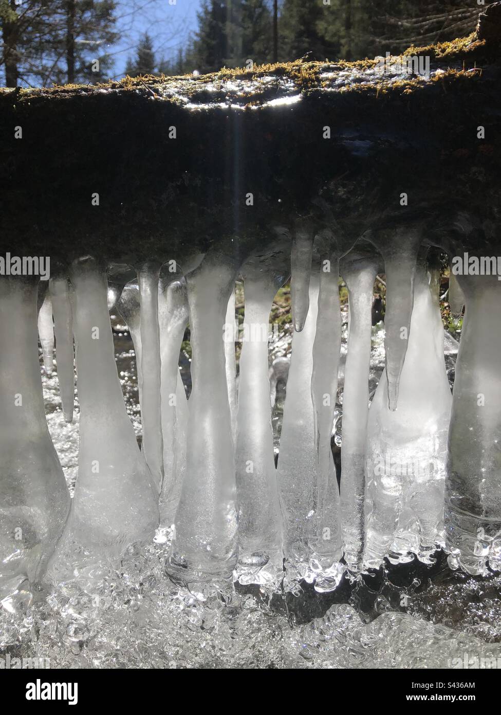 Eisvorhang, der aus einem Wasserstrahl hergestellt wurde, der von einem Holzklotz herabhängt Stockfoto