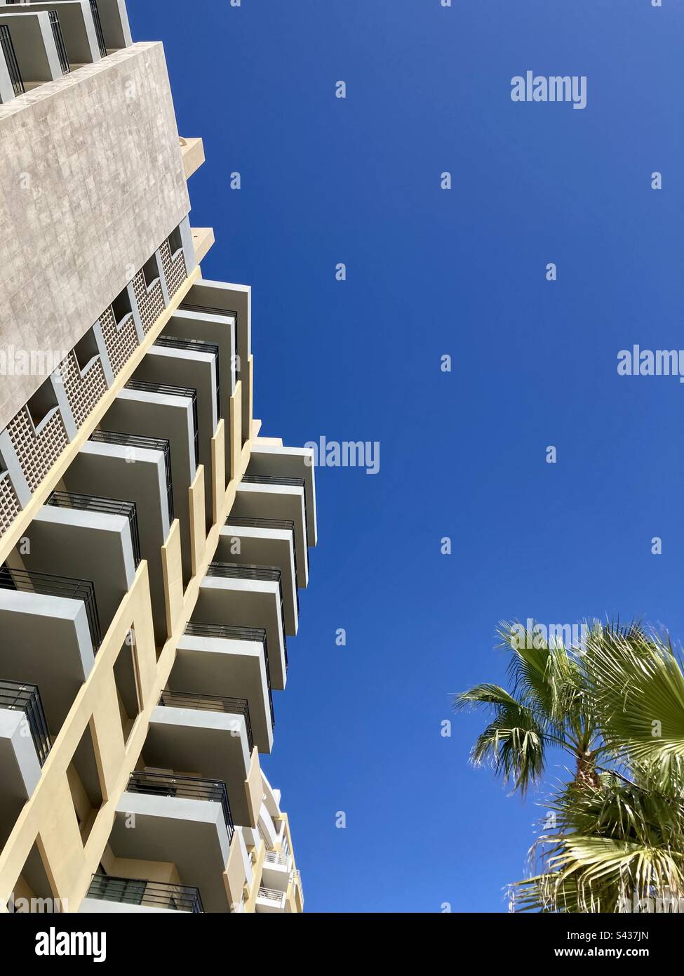 Gebäude und Palme auf der Avenida Tomás Cabreira, Praia da Rocha, Portugal - Smartphone-aufgenommenes Stockfoto