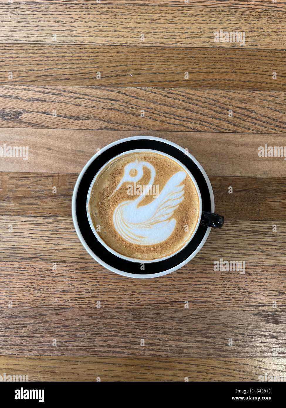 Swan Latte Art Kaffee Stockfoto