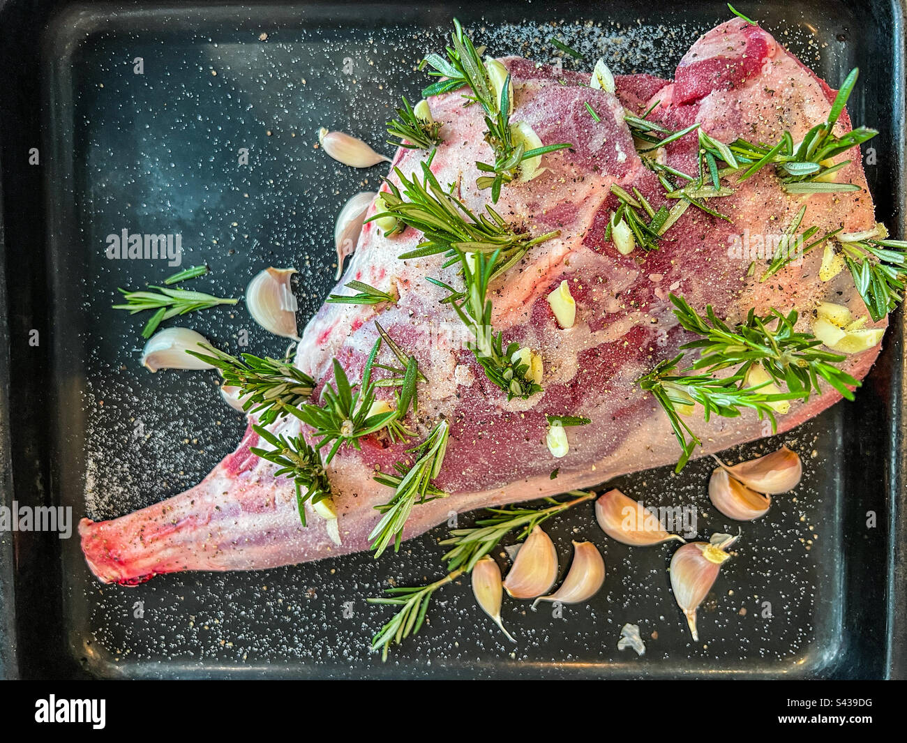 Lammkeule vor dem Kochen mit Kräutern und Gewürzen und Knoblauch Stockfoto