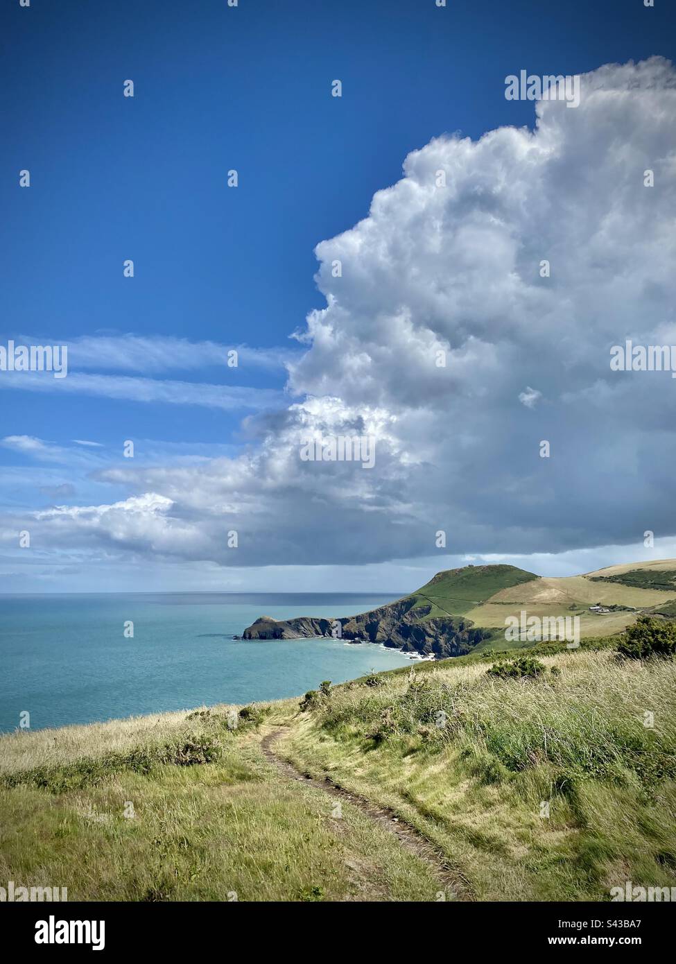 Ein dramatischer Abschnitt des beliebten Ceredigion Coast Path in der Nähe von Llangrannog in West Wales Stockfoto