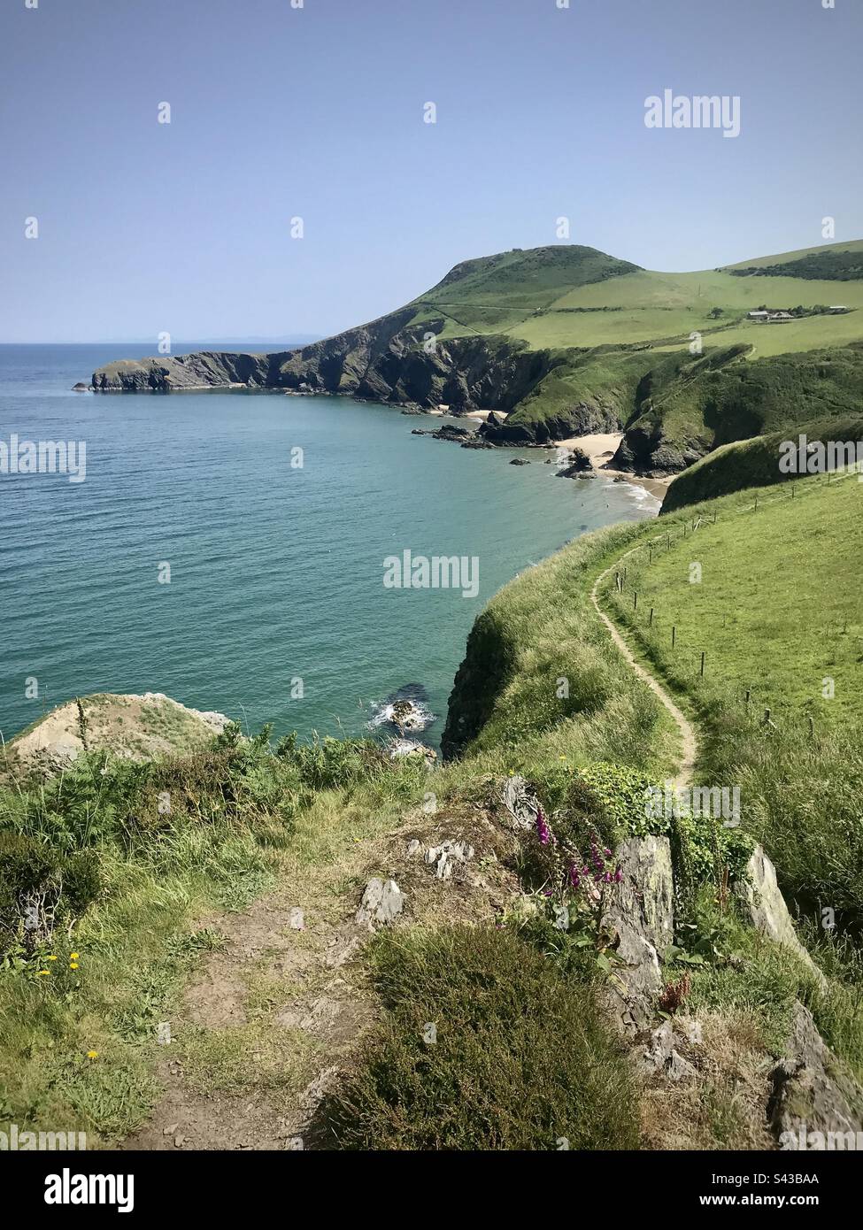 Ein dramatischer Abschnitt des beliebten Ceredigion Coast Path in der Nähe von Llangrannog in West Wales Stockfoto