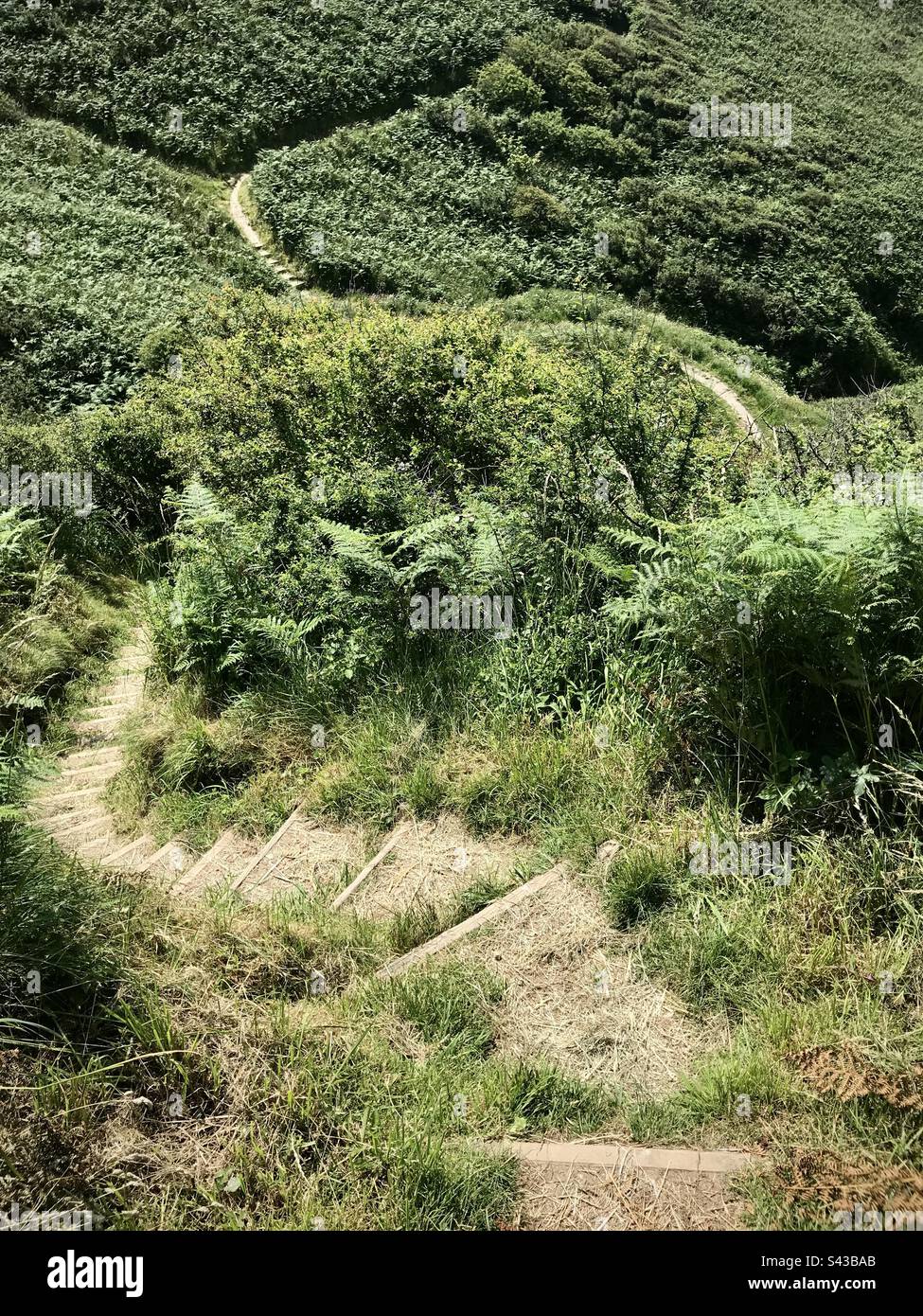 Ein dramatisch gewölbter steiler Abschnitt des beliebten Ceredigion Coast Path in der Nähe von Llangrannog in West Wales Stockfoto