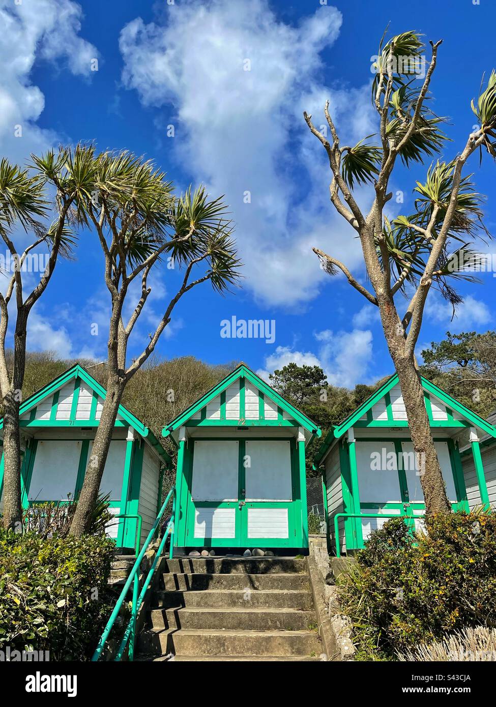 Palmen und Strandhütten in Langland Bay, Swansea, Gower, Wales. Stockfoto