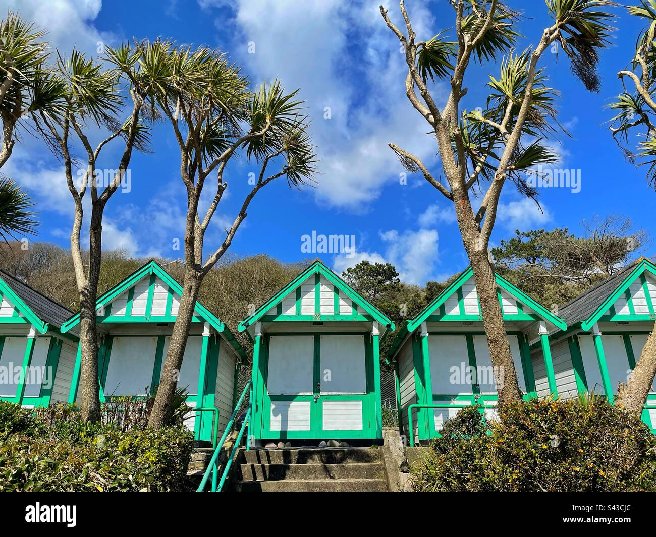 Strandhütten und Palmen in Langland Bay, Swansea, Gower, Wales. Stockfoto