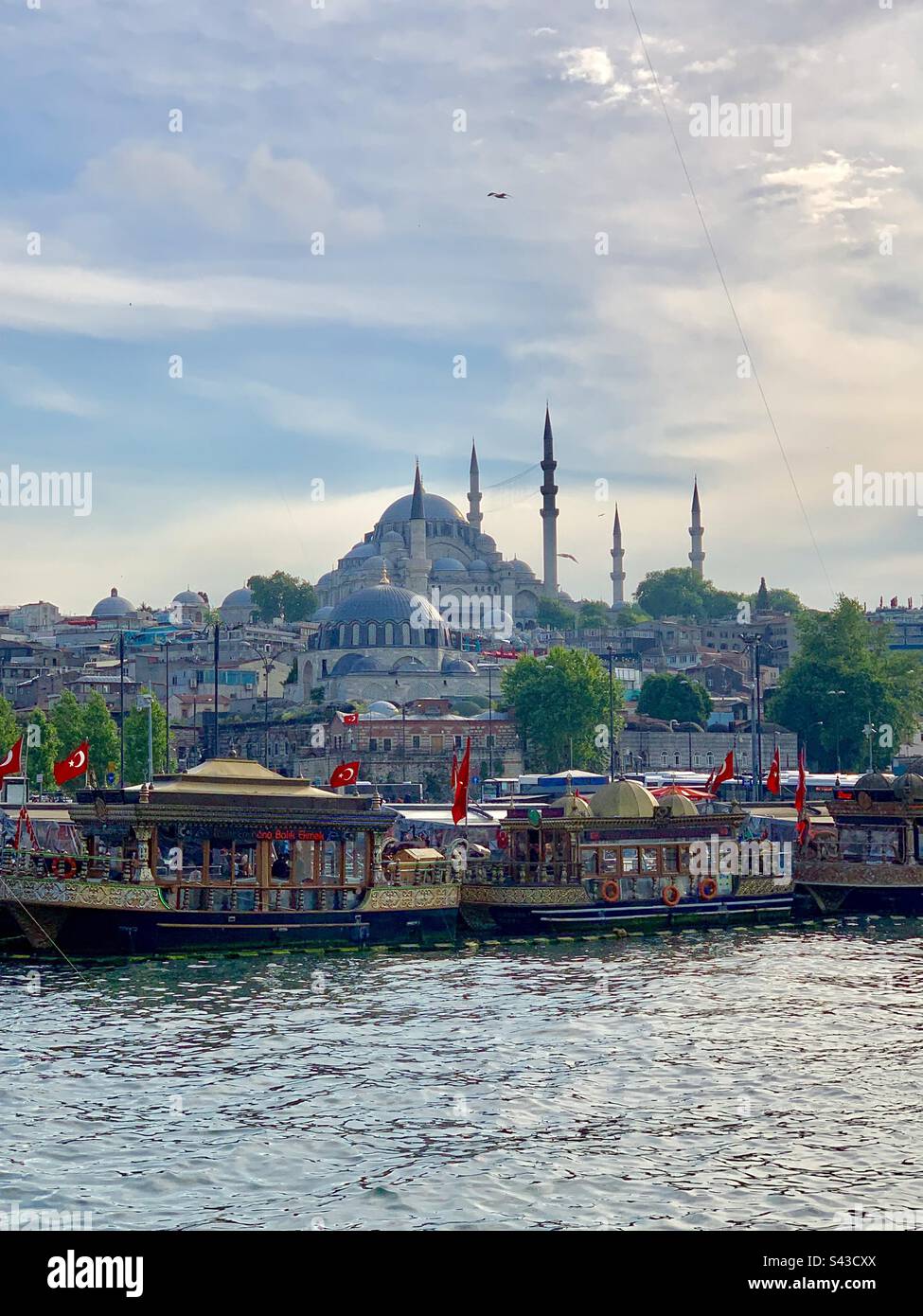 Die islamische Süleymaniye-Moschee (Süleymaniye Camii) eine osmanische kaiserliche Moschee in Istanbul, Türkei. Im Auftrag von Suleiman, dem prächtigen, entworfen von Mimar Sinan. Stockfoto