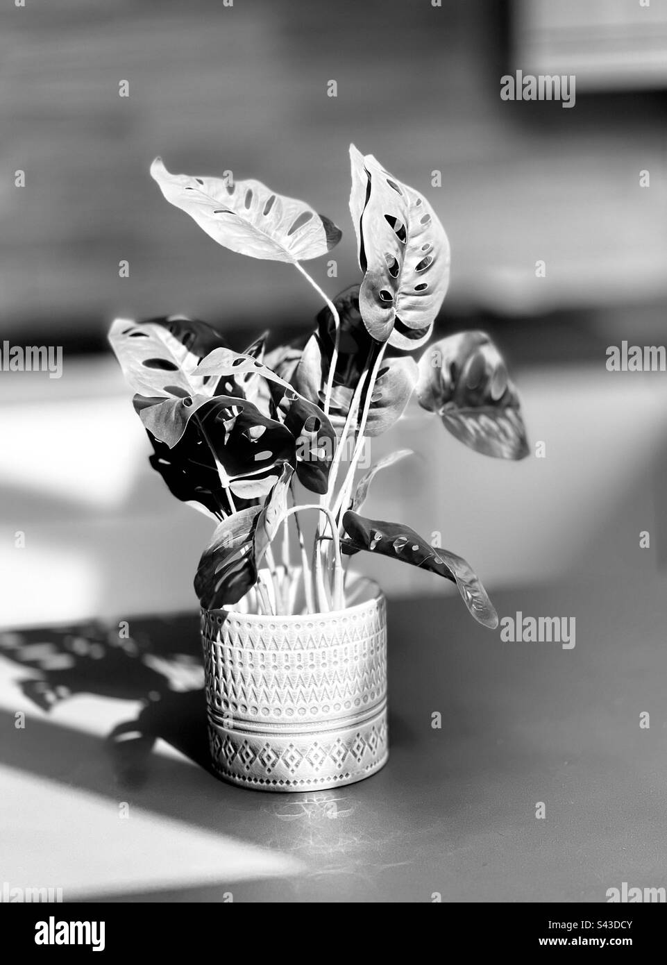 Schwarz-Weiß-Kunstpflanze in einem Keramiktopf Stockfoto