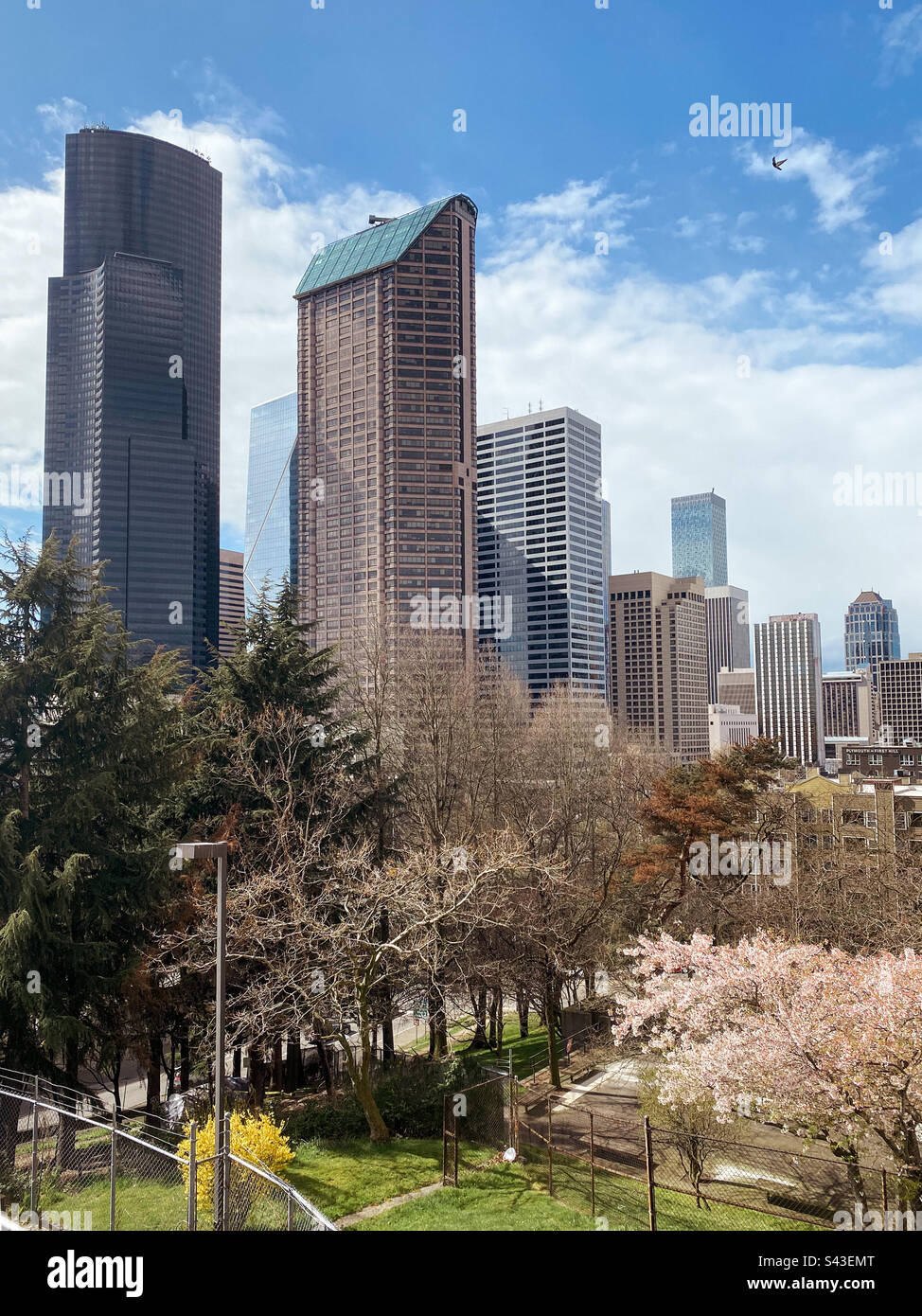 Seattles Skyline an einem sonnigen Tag, einzigartige Perspektive. - Smartphone-aufgenommenes Stockfoto