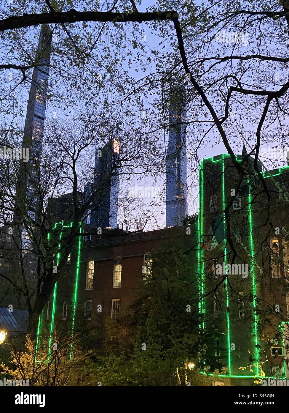 Vertikale grüne Lichter vor vertikalen Gebäuden, Eingang zum Central Park Zoo bei Nacht, Manhattan, New York - Smartphone-aufgenommenes Stockfoto