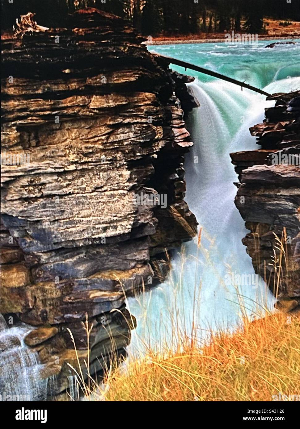 Athabaskan Falls, Jasper National Park, Alberta, Kanada. Turbulenz, Torrent, Stockfoto