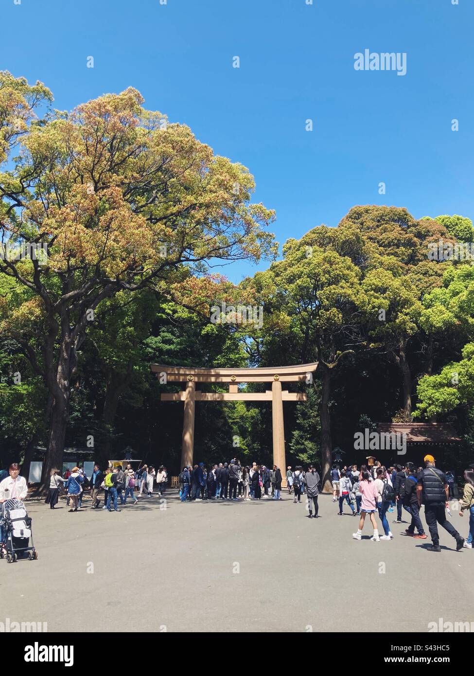Touristen am Torii-Tor am Eingang zum Meiji-Schrein (Meiji Jingu), Harajuku, Tokio, Japan Stockfoto