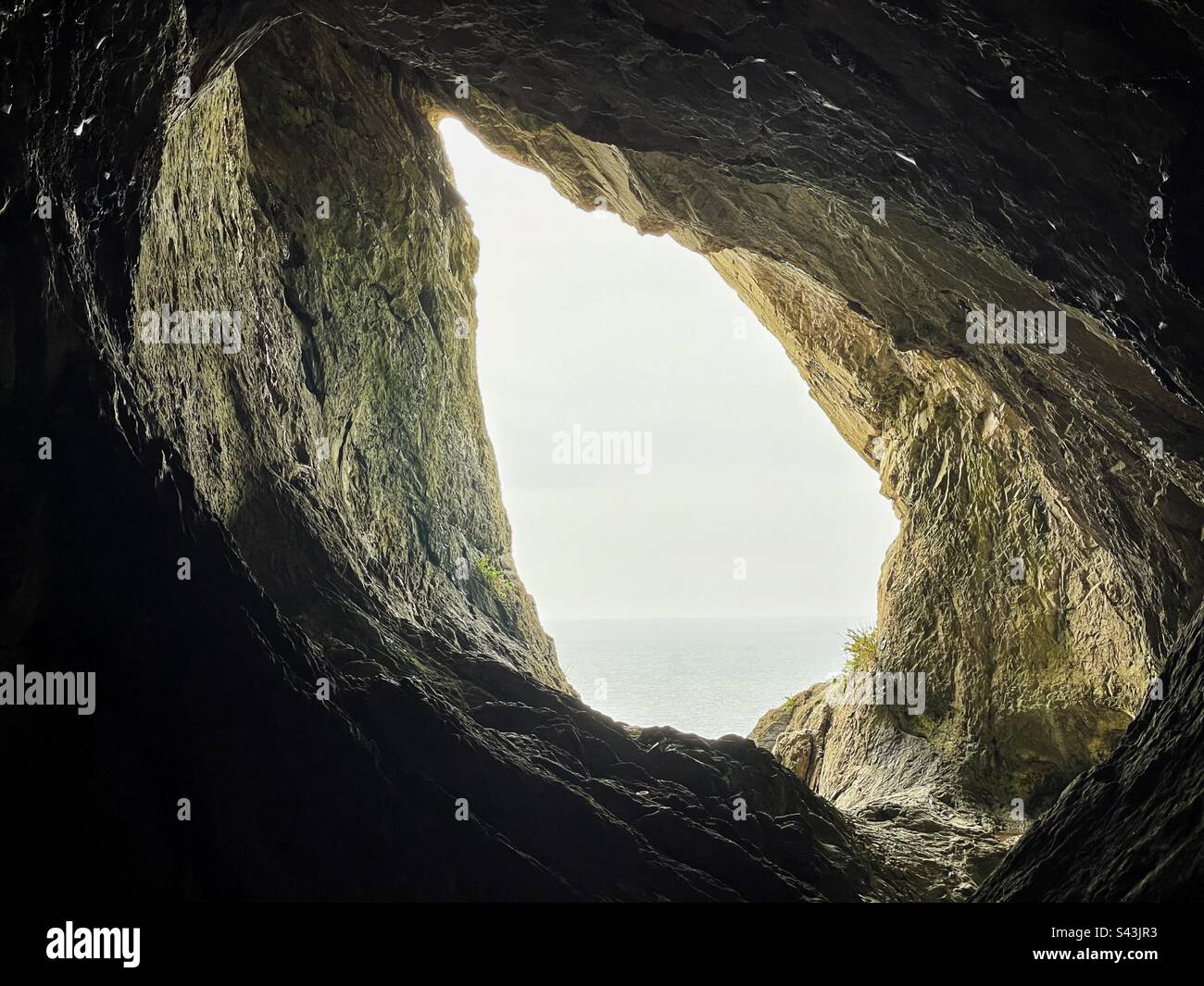Blick von innen auf die Paviland-Höhle, die Halbinsel Gower, Swansea, Südwestwales. Stockfoto