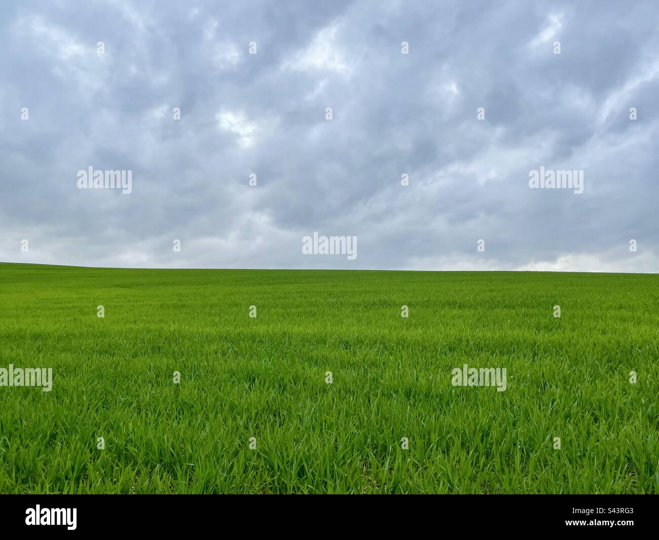 April morgen - Smartphone-aufgenommenes Stockfoto