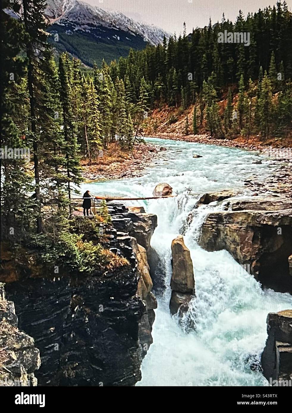 Athabasca River, Wasserfälle, Wasserfall, Jasper Park, Nationalpark, Kanadische Rocky Mountains, Stockfoto