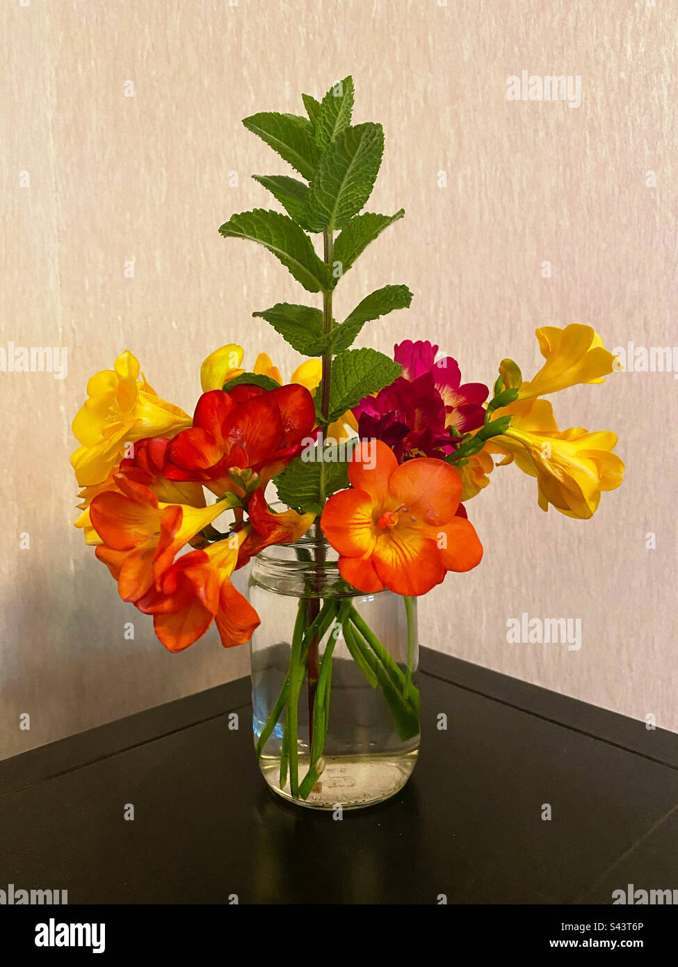 Schneiden Sie die Blumen in ein Glas mit Wasser Stockfoto
