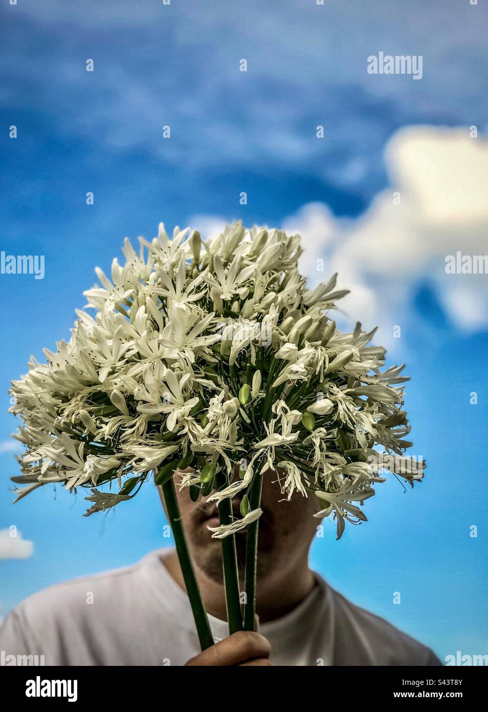 Nahaufnahme eines jungen Mannes, der einen Strauß von weißem Agapanthus hält, auch bekannt als Nillilie oder afrikanische Lilie gegen blauen Himmel mit einer weißen Wolke. Sommerthema. Stockfoto