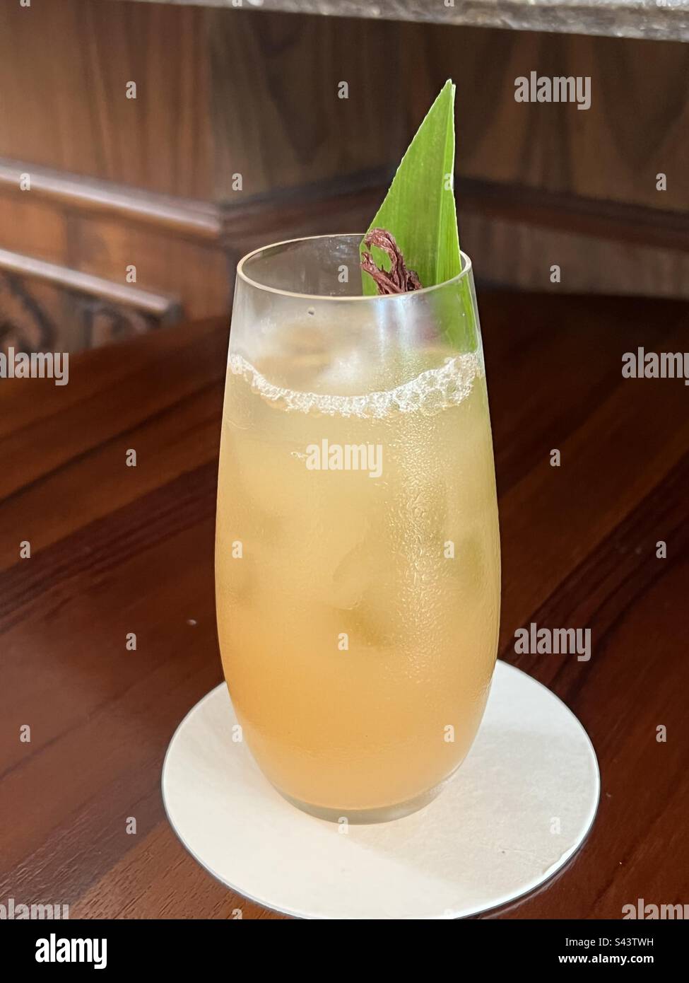 Tropisches erfrischendes Getränk mit fruchtiger Garnierung Stockfoto