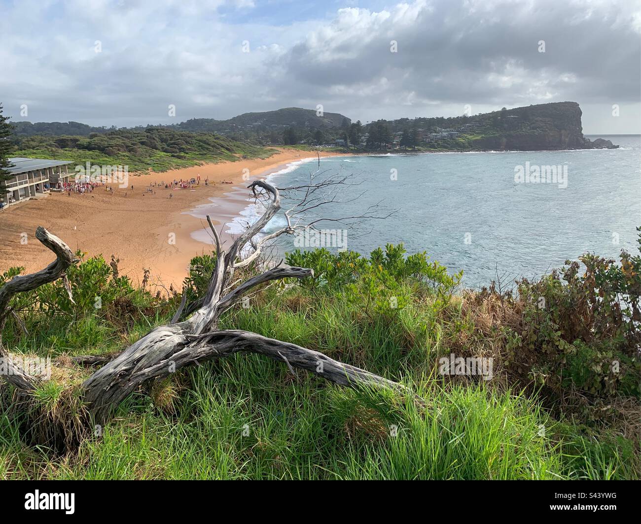 Avalon Beach, Northern Beaches, Sydney, NSW, Australien Stockfoto