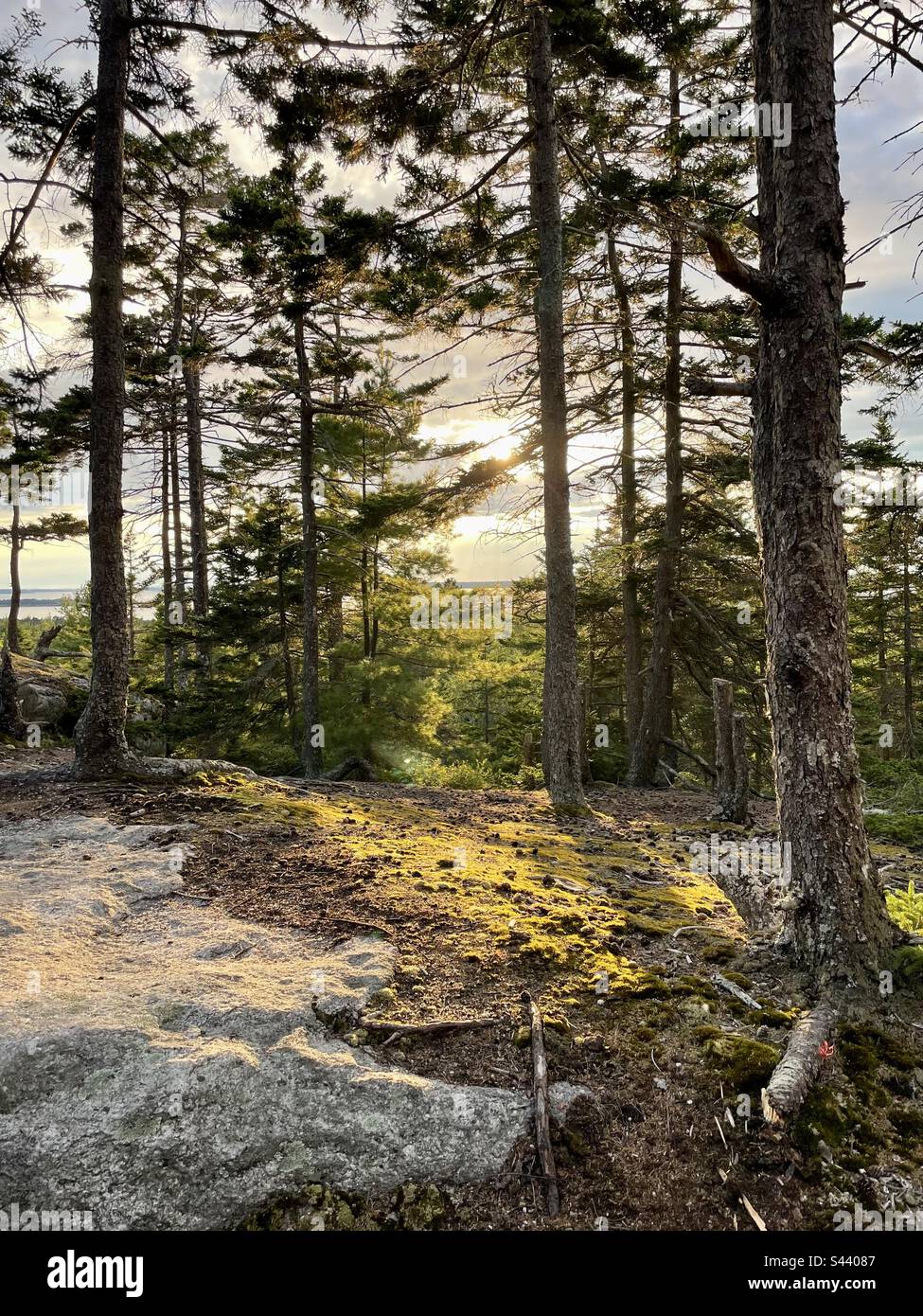 Robinsons Rock, Westpoint Maine Stockfoto