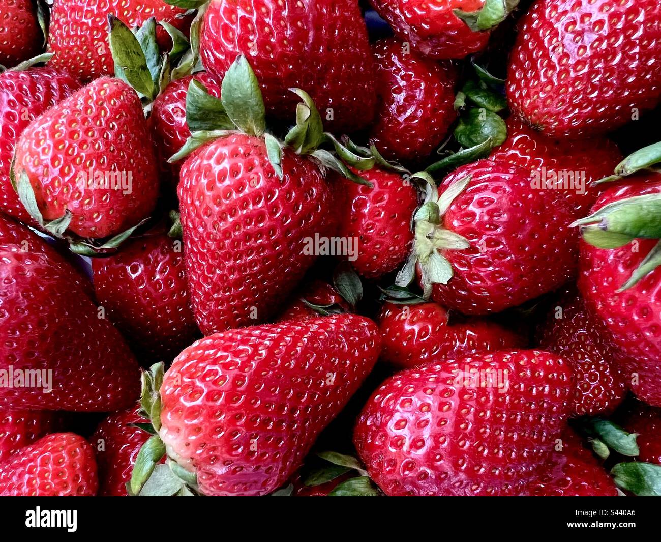 Full-Frame von Erdbeeren - Smartphone-aufgenommenes Stockfoto