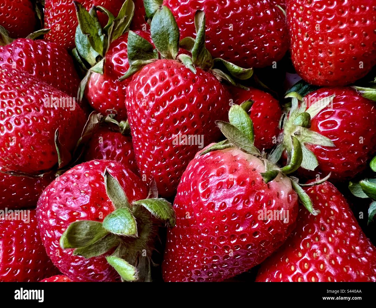Full-Frame von Erdbeeren - Smartphone-aufgenommenes Stockfoto