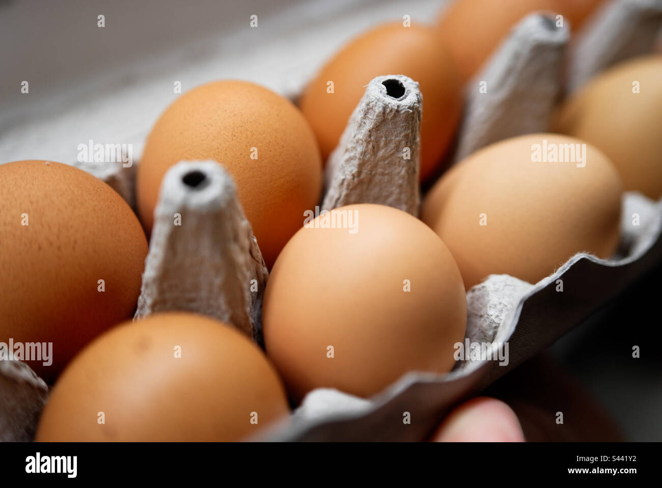 Ein Dutzend braune Eier auf Weiden in einem Karton Stockfoto